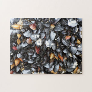 Multiple Mussel Shell Puzzle
