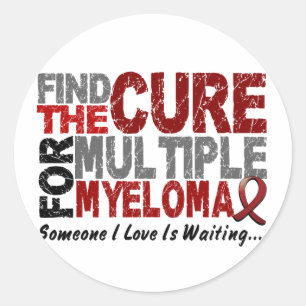 Multiple Myeloma FIND THE CURE 1 Classic Round Sticker