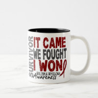 Multiple Myeloma Survivor It Came We Fought I Won