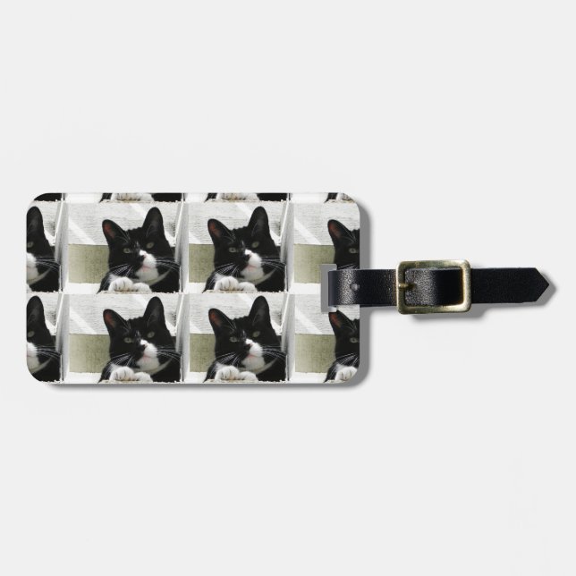 Multiple Tuxedo Cat Pattern Luggage Tag (Front Horizontal)