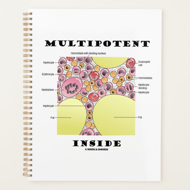 Multipotent Inside Blood Cell Formation Humour Planner (Front)