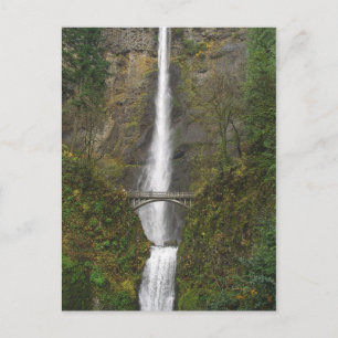 Multnomah Falls and Benson Footbridge Postcard