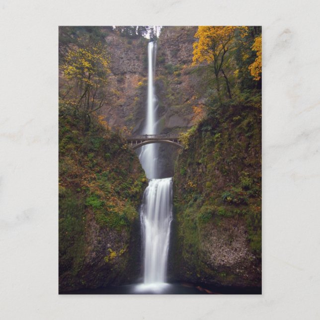 Multnomah Falls in late Autumn Postcard (Front)