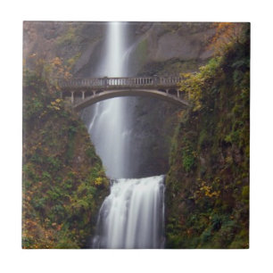 Multnomah Falls in late Autumn Tile