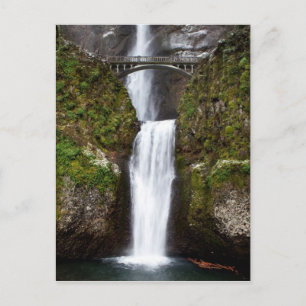 Multnomah Falls in the Columbia Gorge Postcard