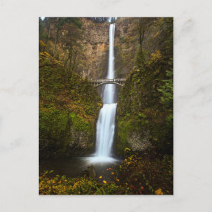Multnomah Falls • Oregon Post Card