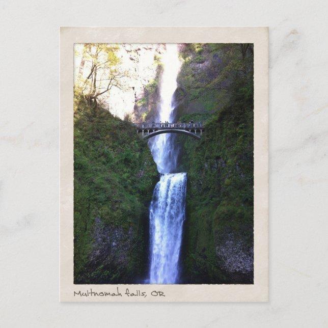 Multnomah Falls, Oregon Postcard (Front)