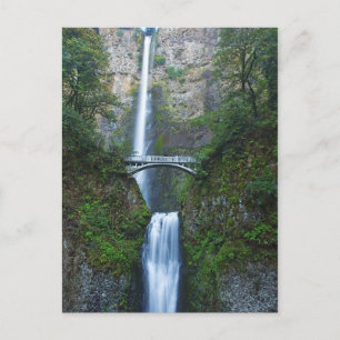 Multnomah Falls, Oregon Postcard