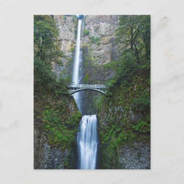 Multnomah Falls, Oregon Postcard (Front)