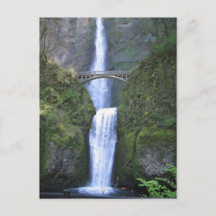 Multnomah Falls Oregon-USA Postcard