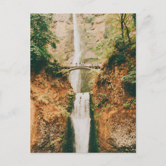 Multnomah Falls  Postcard (Front)