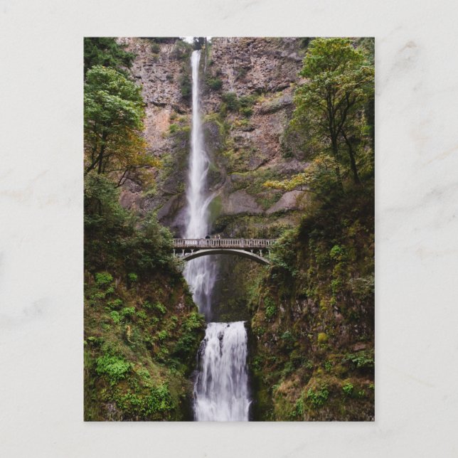 Multnomah Falls Postcard (Front)
