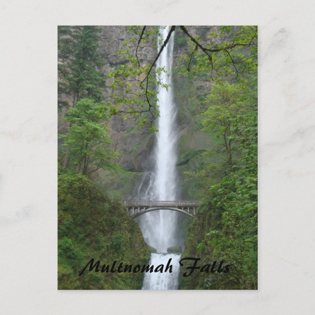 Multnomah Falls Postcard (Front)