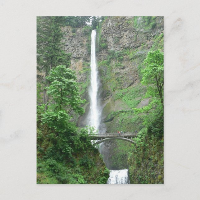 Multnomah Falls Postcard (Front)