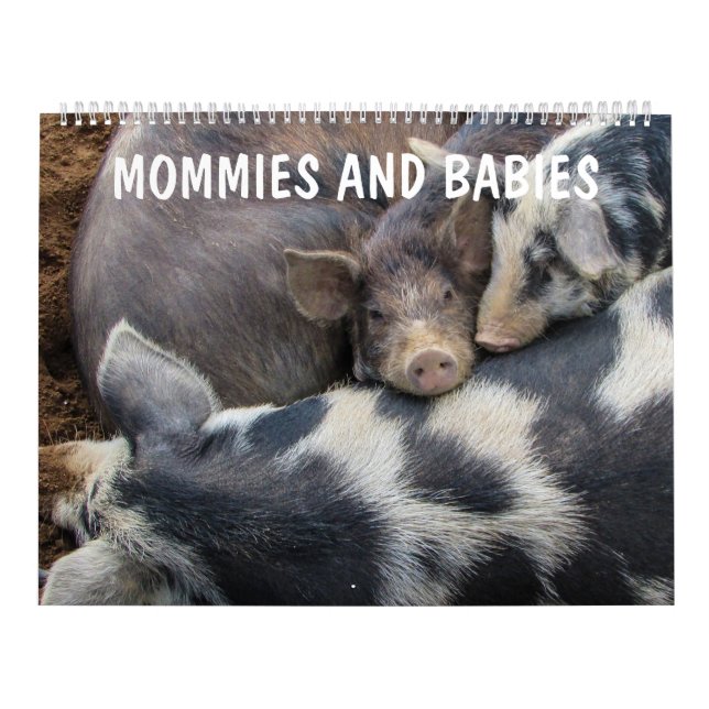 Mum and Baby Animals Calendar (Cover)