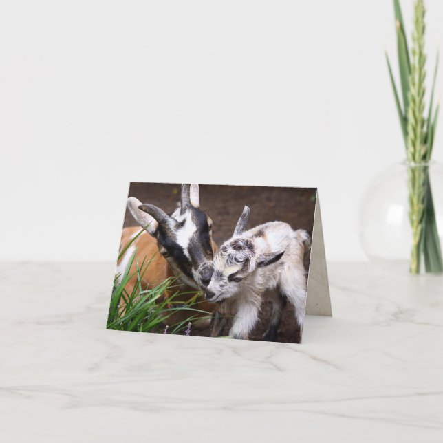 Mum and Baby Goat Card (Front)