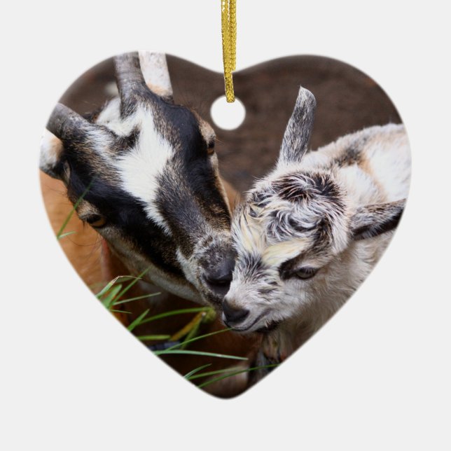 Mum and Baby Goat Ceramic Tree Decoration (Front)
