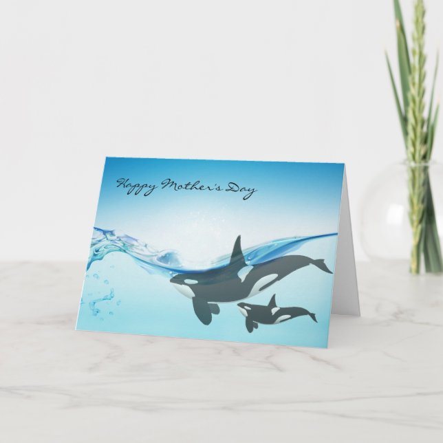 Mum and Baby Orca Whales Mother's Day Card (Front)