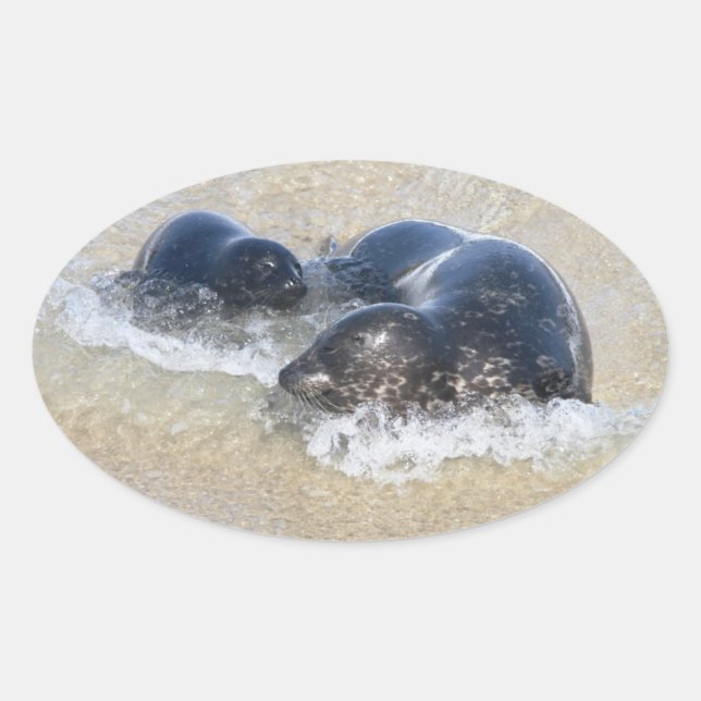 Mum and baby seal (Front)