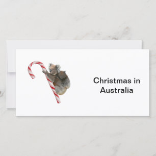 Mum and Joey Koala Candy Cane Christmas Holiday Card