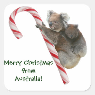 Mum and Joey Koala Candy Cane Christmas Square Sticker