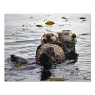 Mum and Pup Sea Otter Photo Print