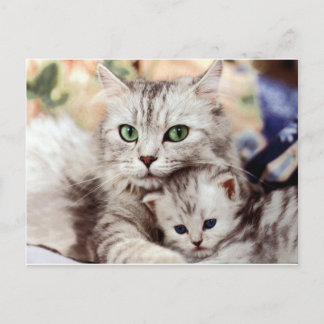 Mum and Son Postcard