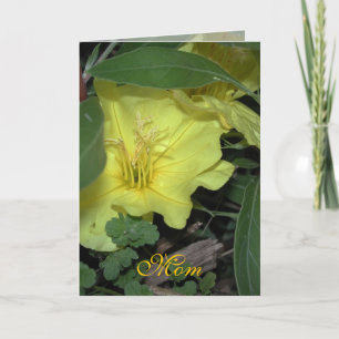 Mum Birthday Card