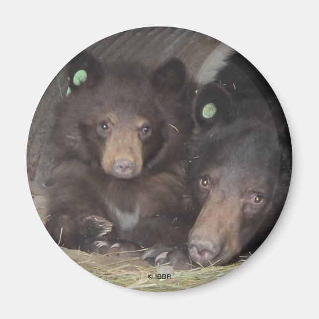 Mum & cub 2013 Round Magnet (Front)