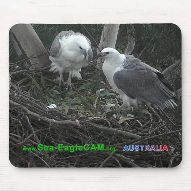 Mum & Dad admiring the Eggs Mousepad Horizontal 02 (Front)