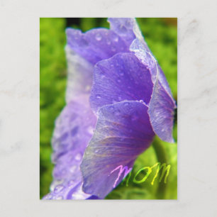 Mum Flower Postcard