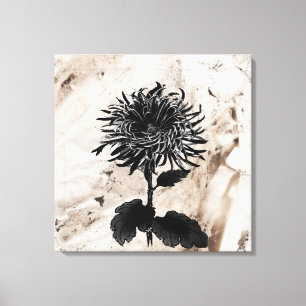 Mum Grandiflora Black Canvas Print