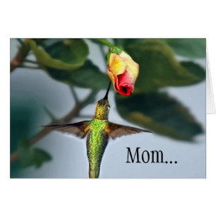 Mum Hummingbird