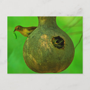 mum I know you are here Postcard