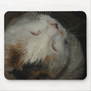 Mum, I'm sleeping!! cat mousepad