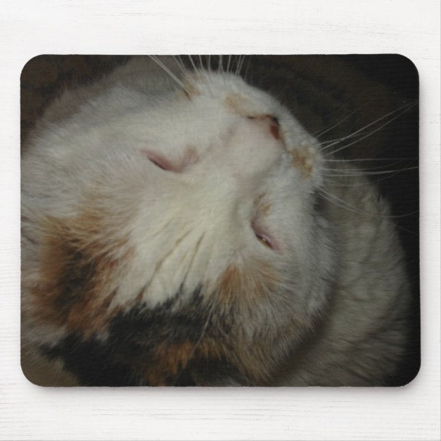 Mum, I'm sleeping!! cat mousepad (Front)