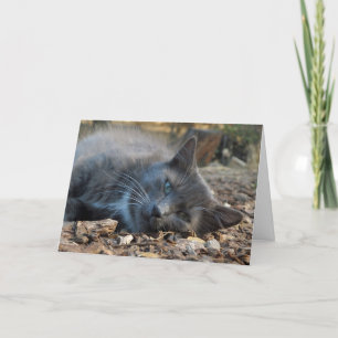 Mum is Loved Adorable Cat Mother's Day Card