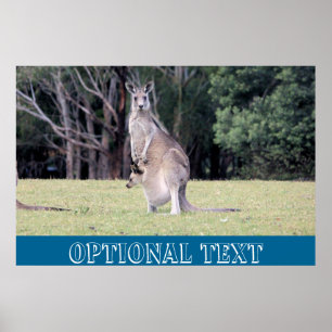 Mum Kangaroo with Baby Joey in Her Pouch Poster