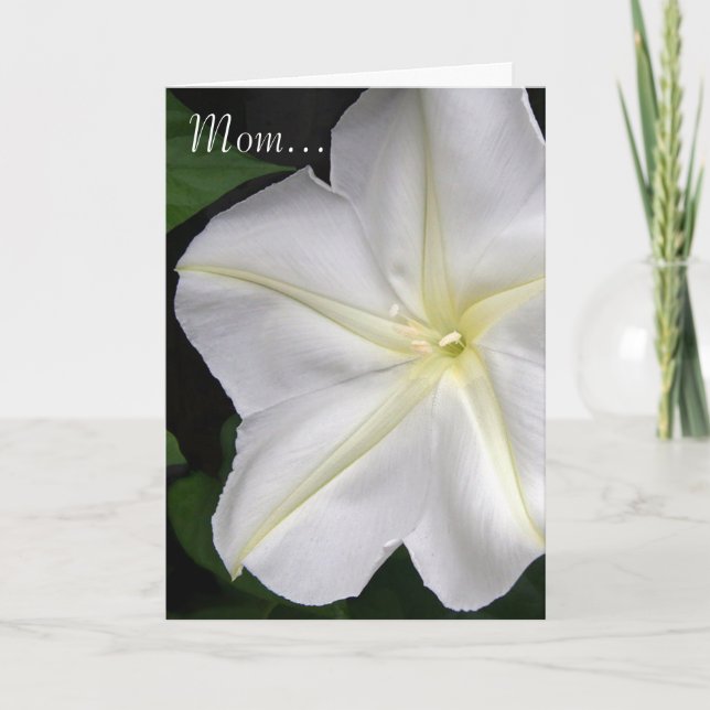 Mum...Moonflower Card (Front)