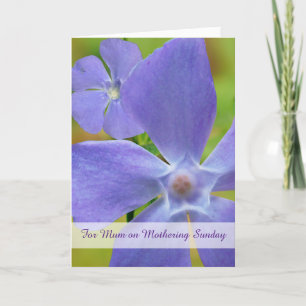 Mum Mothering Sunday with Flowering Vinca Vine Card