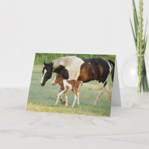 Mum & Newborn Paint Filly Card