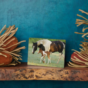 Mum & Newborn Paint Filly Plaque