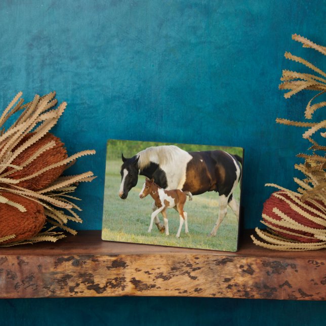 Mum & Newborn Paint Filly Plaque (Side)