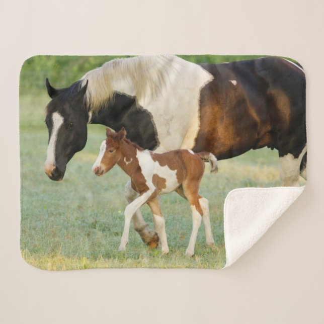 Mum & Newborn Paint Filly Sherpa Blanket (Front (Horizontal))