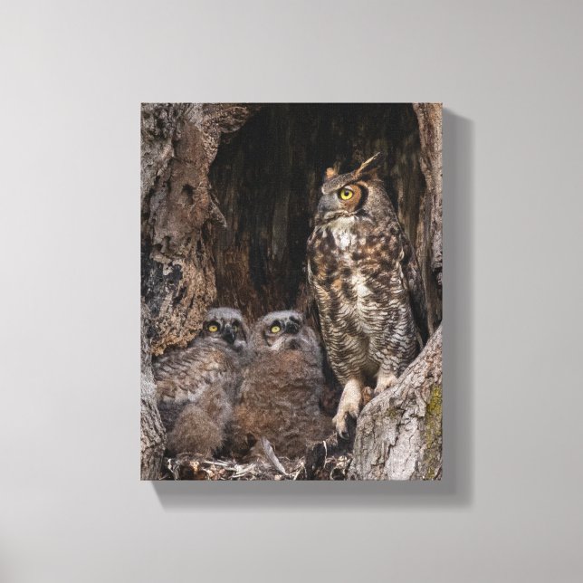 Mum On Guard Duty Canvas Print (Front)