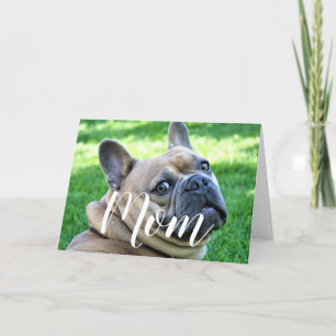Mum Pet Photo Funny Mothers Day Cute Dog Mum Card