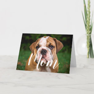 Mum Pet Photo Funny Mothers Day Cute Puppy Dog Mum Card