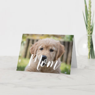 Mum Pet Photo Mothers Day Cute Puppy Dog Mum Card