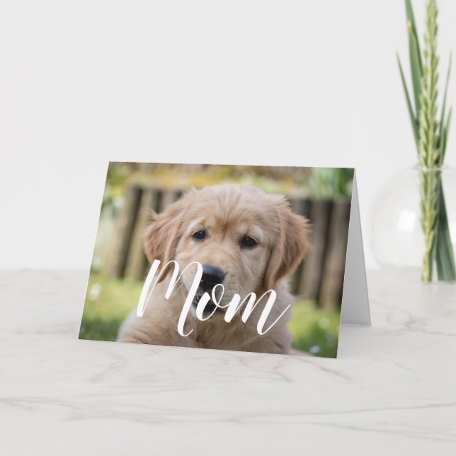 Mum Pet Photo Mothers Day Cute Puppy Dog Mum Card (Front)