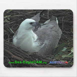 Mum Sitting on 2 Eggs 2013 Mousepad Horizontal